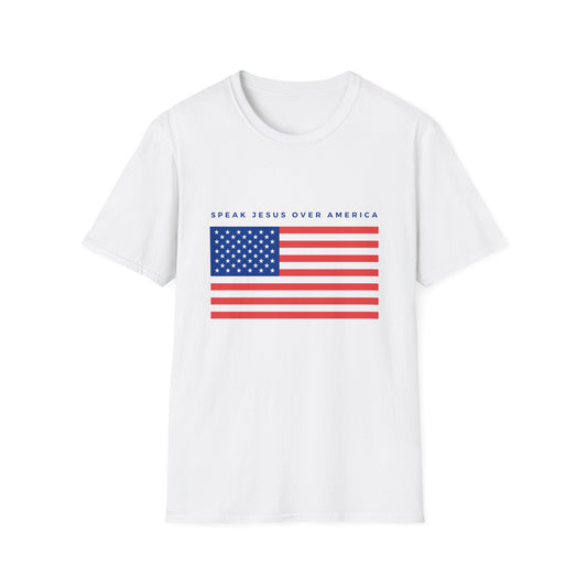 USA Flag Softstyle Graphic T-Shirt